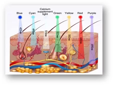 OMEGA LIGHT WITH SPRAY